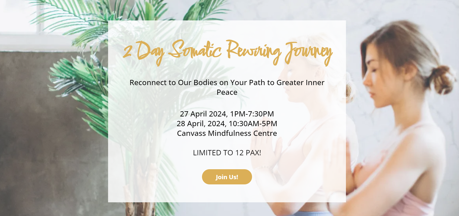 2 Day Somatic Rewiring Journey