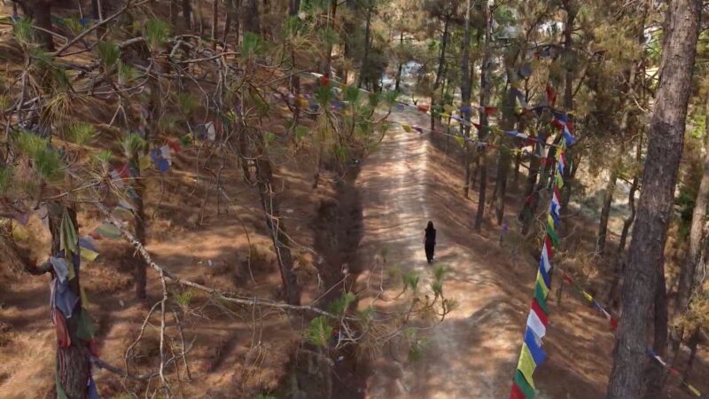 Nepal Pilgrimage